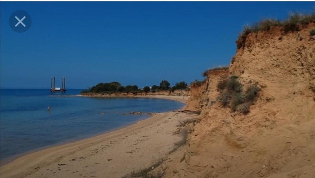 Casa Bianca Διαμέρισμα Privlaka  Εξωτερικό φωτογραφία